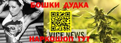 крисы Заводоуковск