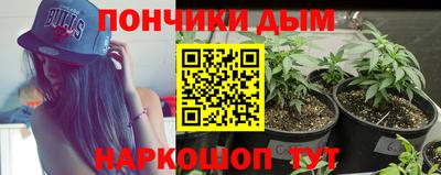 крисы Заводоуковск